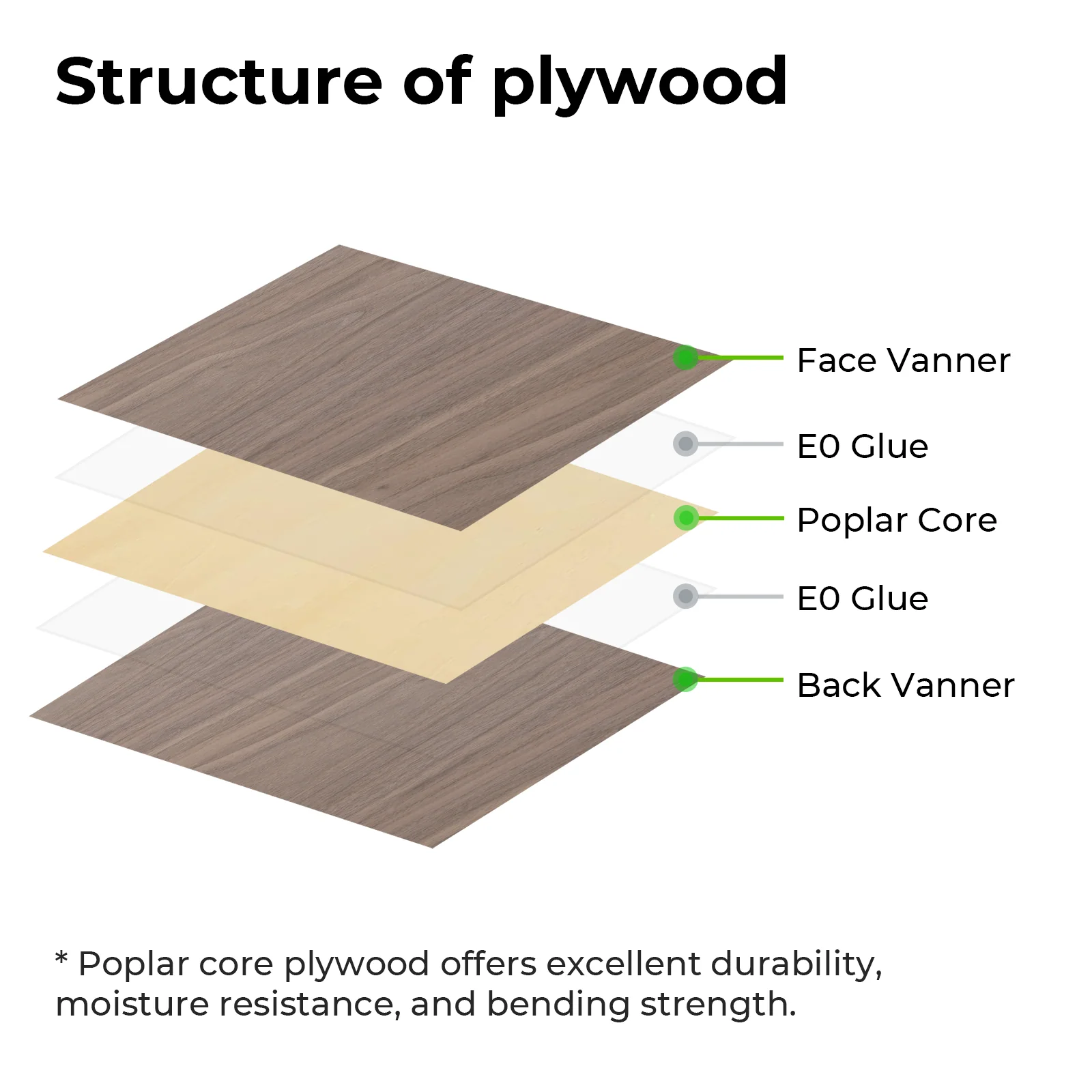 Walnut Plywood Sheets - Image 6